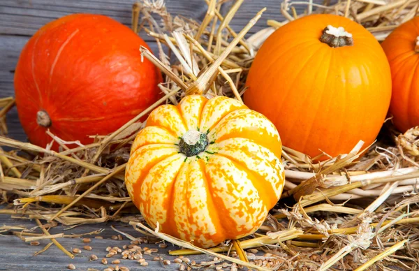 Autumn pumpkins on wooden board, straw — Stock Photo, Image