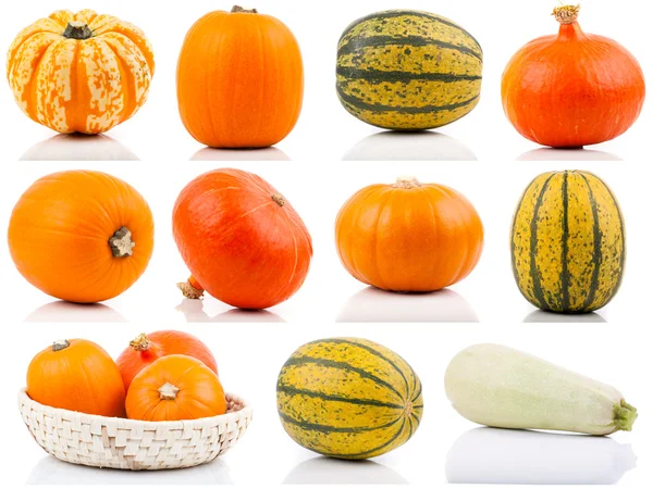 Conjunto de calabazas de colores sobre fondo blanco — Foto de Stock