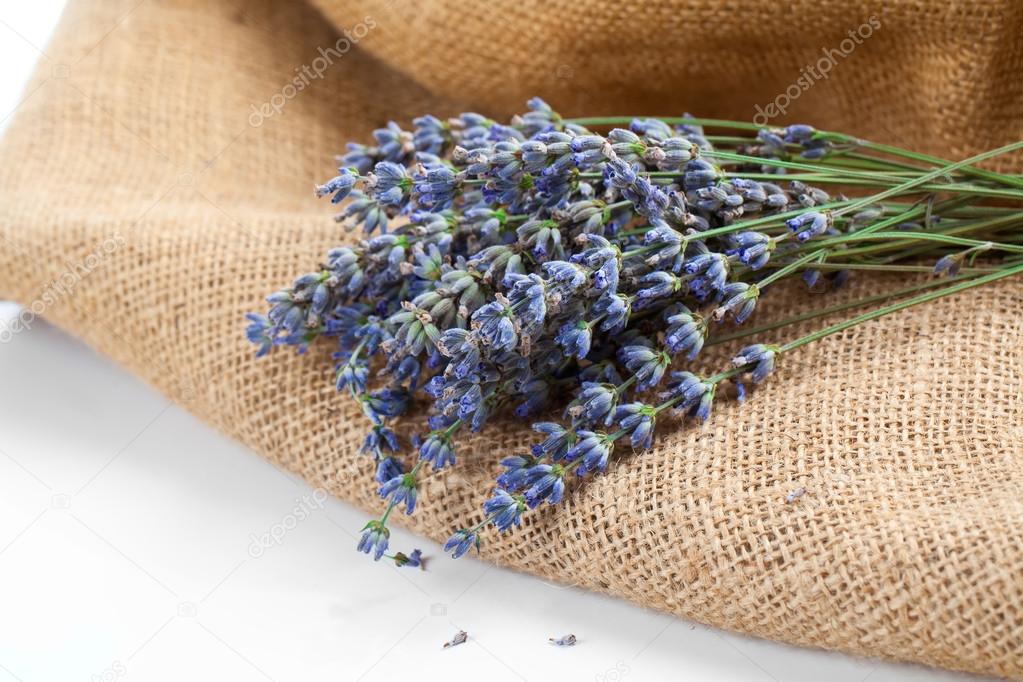 lavender flowers on the burlap, over white background