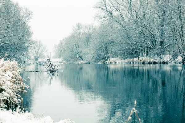 небольшая река зимой, с деревом
