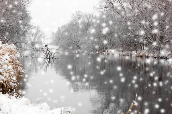 Piccolo fiume in inverno, con albero — Foto Stock