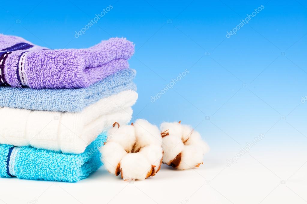 Cotton soft plant with textile, on blue background