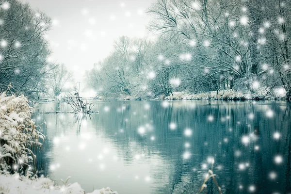 Небольшая река зимой, с деревом — стоковое фото