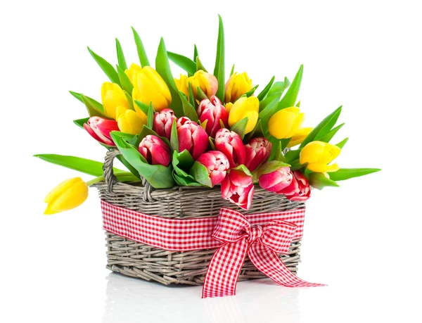 Colorful tulip blooms in a basket isolated on white — Stock Photo, Image