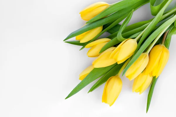 Boeket verse gele tulpen op witte achtergrond (met gemakkelijk re — Stockfoto