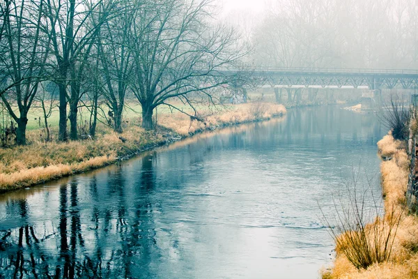 Bellissimo paesaggio nebbia mattutina vicino a un piccolo fiume . — Foto Stock