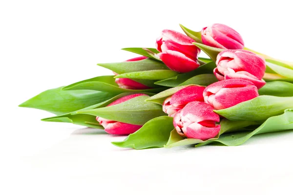 Boeket van rode tulpen geïsoleerd op witte achtergrond — Stockfoto