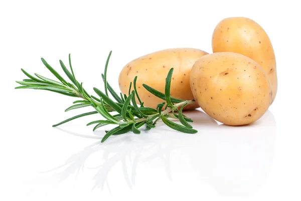 Surowe ziemniaki z rozmarynem na białym tle — Zdjęcie stockowe