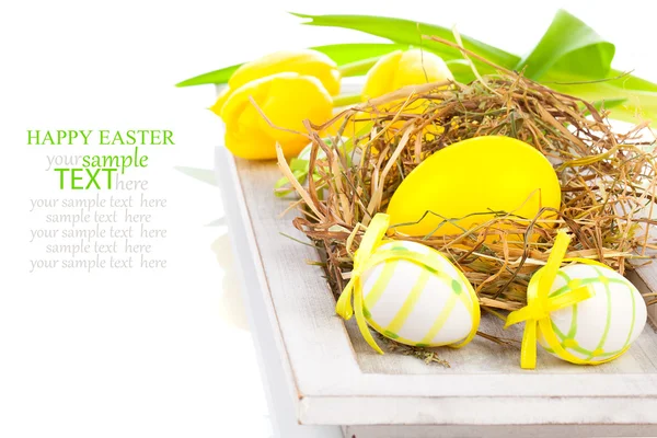 Easter Egg in a nest on a white background — Stock Photo, Image