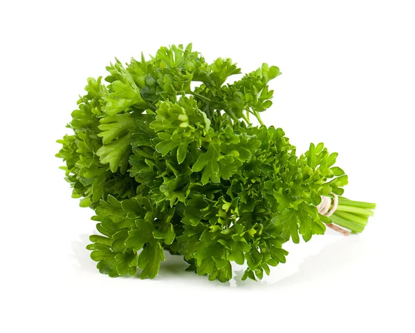 Parsley tied with an cord band in white background. — Stock Photo, Image