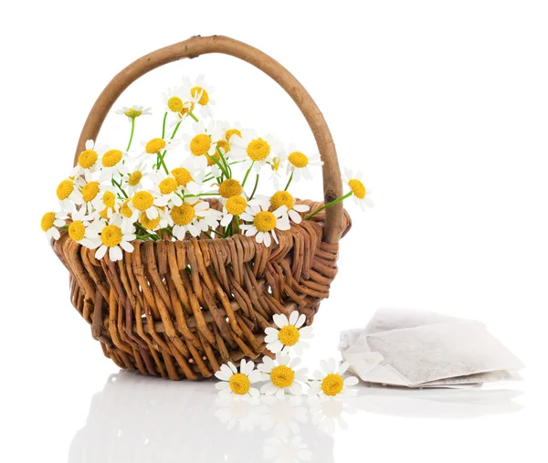 Lindas flores de camomila em cesta com saco de T, isolado em w — Fotografia de Stock