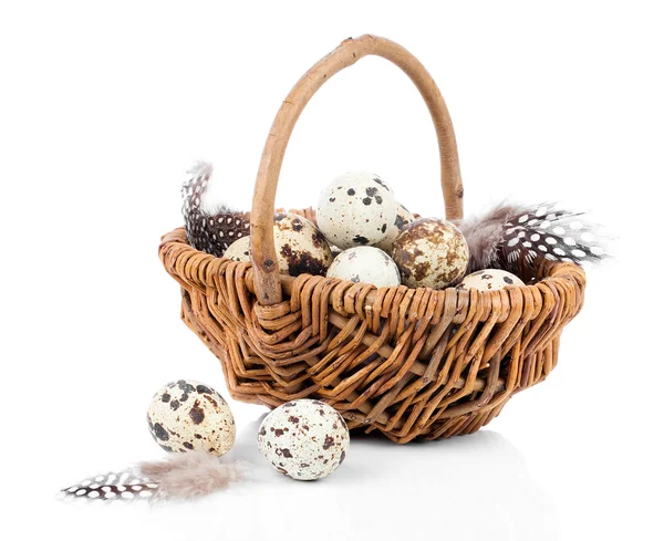 Quail eggs in a wicker basket on white background — Stock Photo, Image