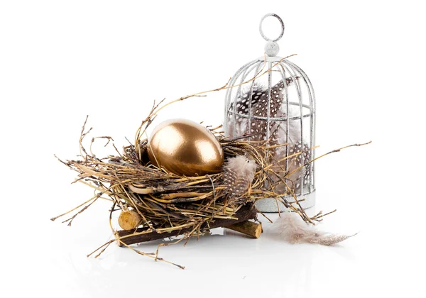 Zlaté vejce v hnízdě izolovaných na bílém pozadí — Stock fotografie