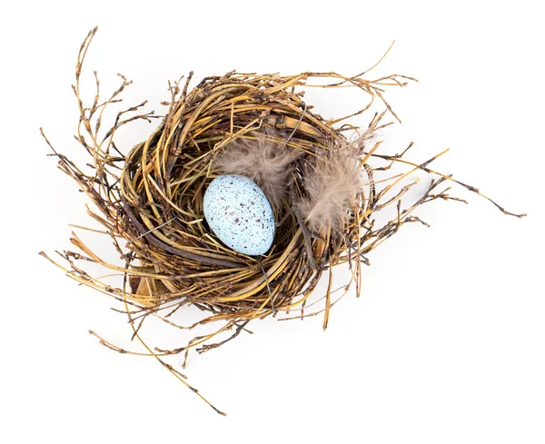 Easter egg in birds nest isolated on white background — Stock Photo, Image