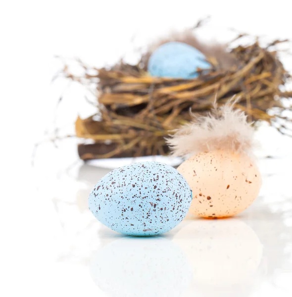 Easter eggs in bird nest isolated on white background — Stock Photo, Image