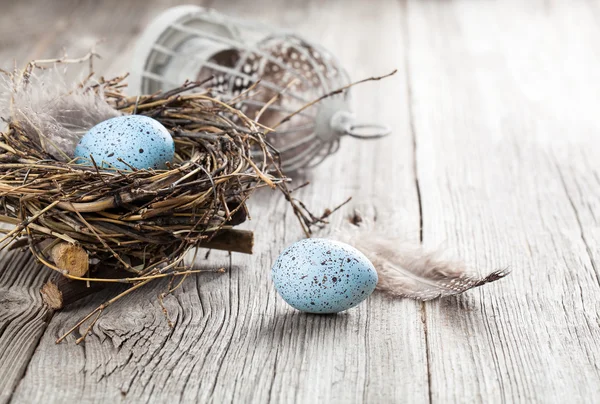 Quail eggs on white wooden background — Stock Photo, Image