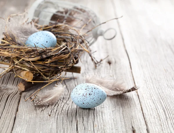 Uova di Pasqua su sfondo di legno bianco — Foto Stock