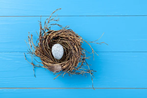 Nahaufnahme lila Krokusblüten im Frühling — Stockfoto