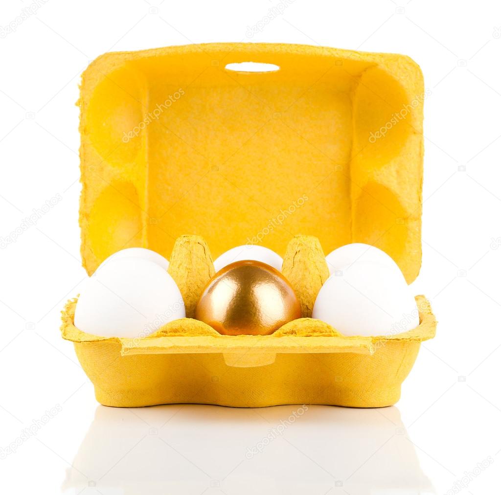 golden egg in the package, concept of Making Money, isolated on 