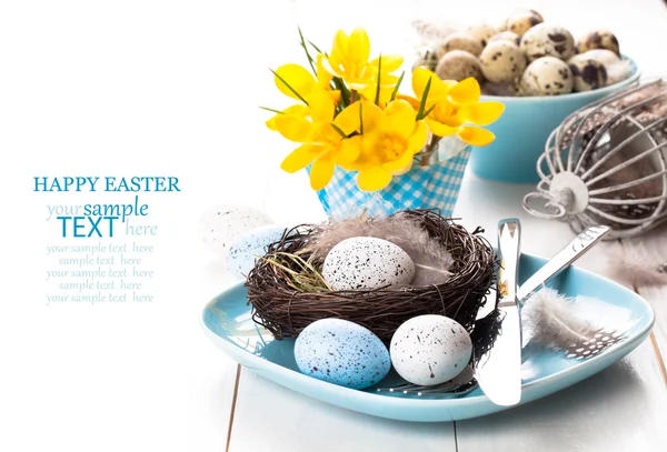 Easter eggs nest on plate with yellow Spring Crocus. on white wo — Stock Photo, Image