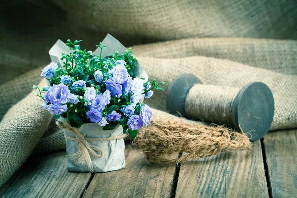 Blauwe Campanula terry bloemen in papier verpakking, op houten backg — Stockfoto