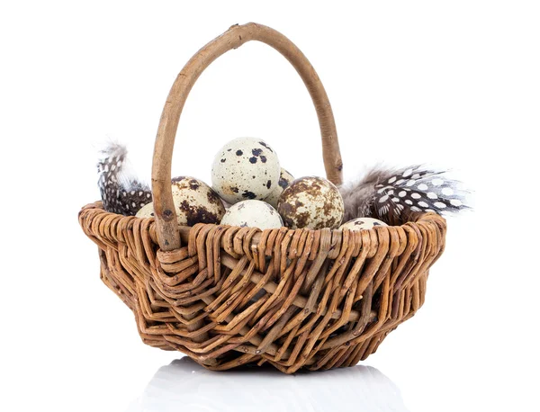 Quail eggs in a wicker basket on white background — Stock Photo, Image