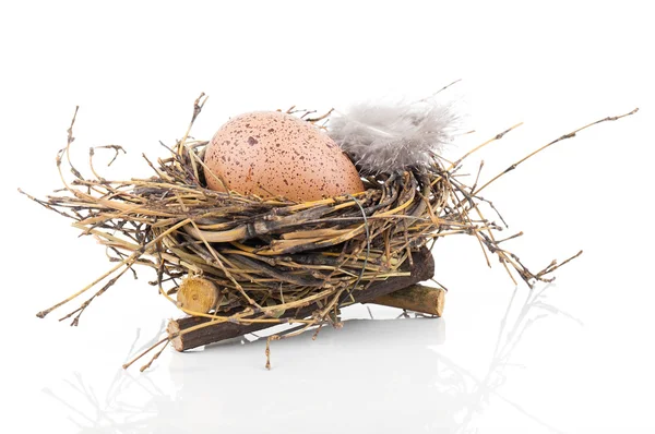 Uovo di Pasqua in nido di uccelli isolato su sfondo bianco — Foto Stock