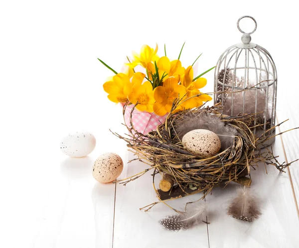 Easter eggs nest with birdcage and yellow Spring Crocus. on whit — Stock Photo, Image
