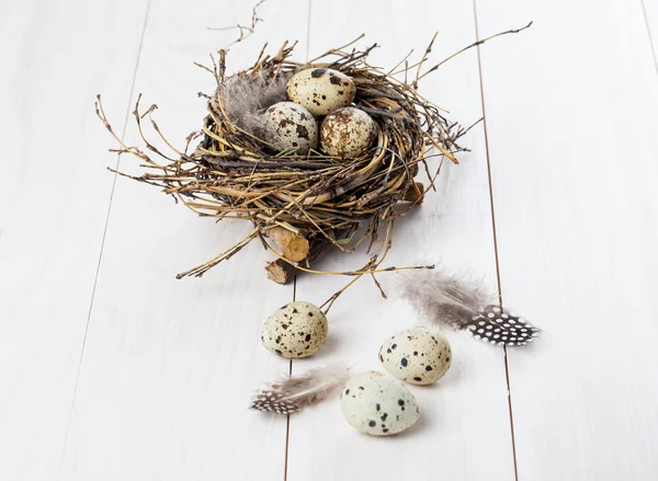 Ovos de codorna no fundo de madeira branco — Fotografia de Stock