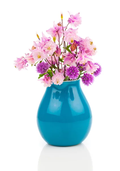 Aquilegia vulgaris çiçek olarak da adlandırılan Büyükanne'nin kaporta veya Columb — Stok fotoğraf