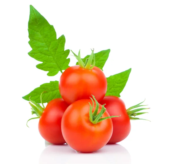 Verse tomaten met groene bladeren geïsoleerd op witte achtergrond — Stockfoto