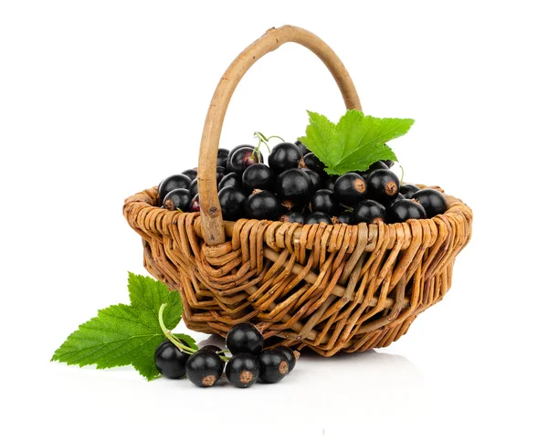Ribes nero in un cestino di vimini, su sfondo bianco — Foto Stock