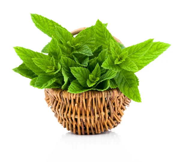 Bundle of fresh spearmint in a wicker basket, on a white backgro — Stock Photo, Image