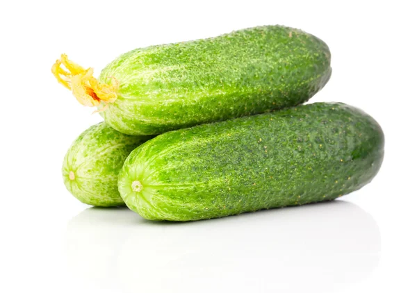 Cucumber isolated on white background — Stock Photo, Image