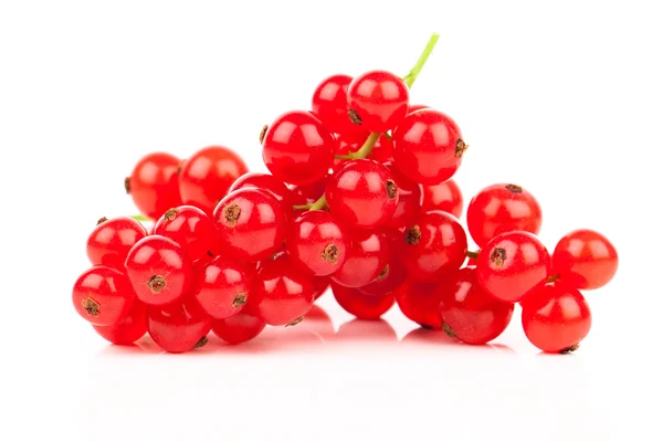 Red currant on a white backgroun — Stock Photo, Image