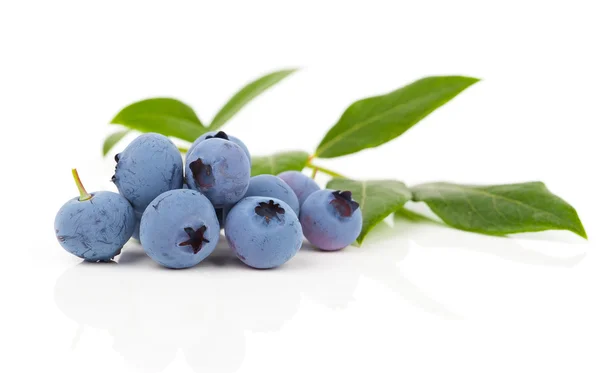 Sweet blueberries with leaves close up, on a white background — Stock Photo, Image