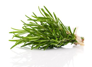 tied fresh rosemary on a white background clipart