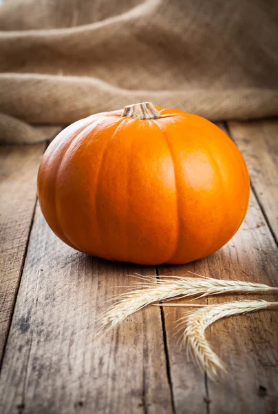 Autumn pumpkins on wooden board — Stock Photo, Image