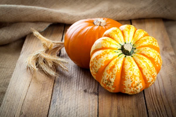 Zucche di autunno su tavola di legno — Foto Stock