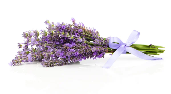 Ramo de flores de lavanda sobre un fondo blanco —  Fotos de Stock