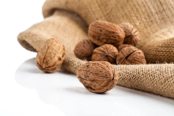 Walnut isolated on the white background — Stock Photo, Image