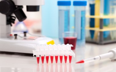 pcr ile dna amplifikasyon için ubes