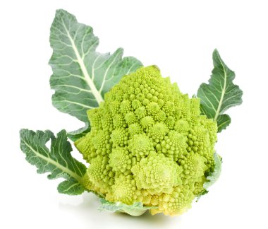 Nadir brokoli. Romanesco brokoli lahana, üzerinde beyaz bac izole