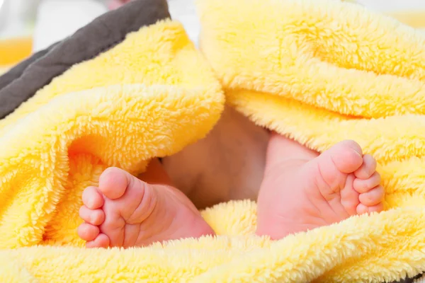 Close up of Baby feet — Stock Photo, Image