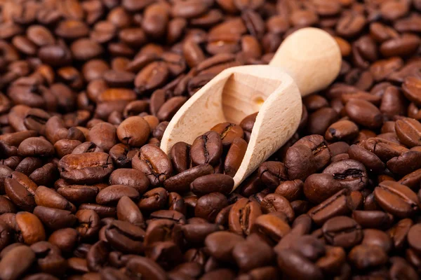 Kávová zrna. / kávová zrna. — Stock fotografie