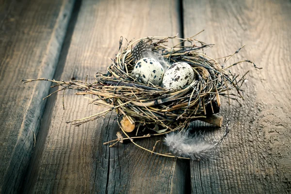 Uova di quaglia in nido su sfondo di legno — Foto Stock
