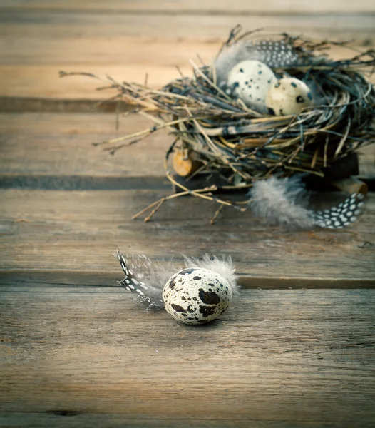 Huevos de codorniz con plumas sobre fondo de madera — Foto de Stock