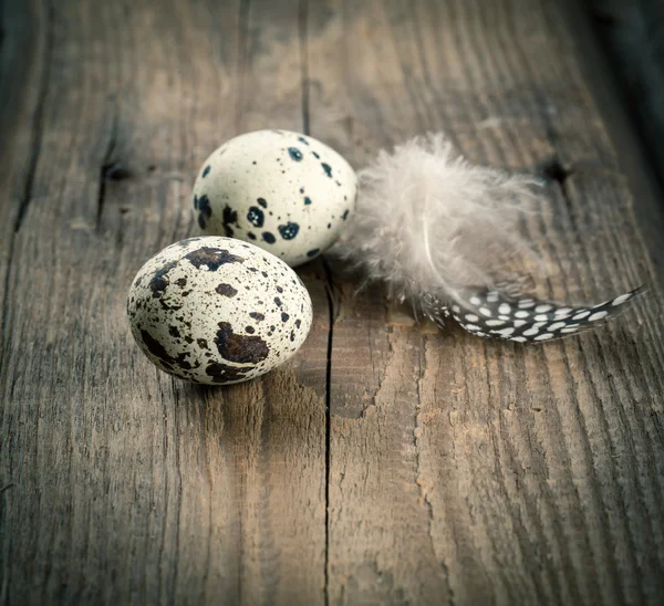 Quail eggs with feather on wooden background — Stock Photo, Image