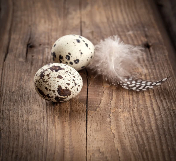 Quail eggs with feather on wooden background — Stock Photo, Image