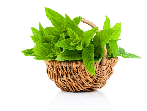 Bundle of fresh spearmint in a wicker basket, on a white backgro — Stock Photo, Image